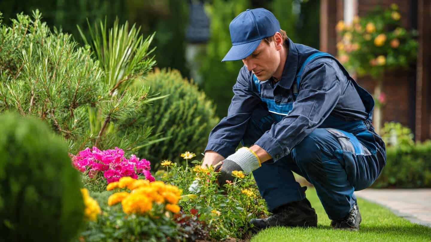 Jardinagem profissional